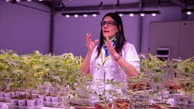 Transformando la Inoculación de Soja