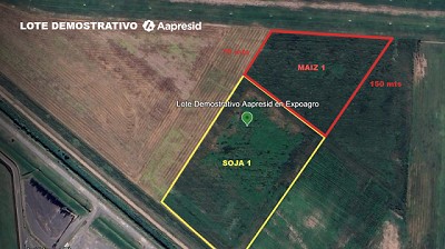 Aapresid sorprenderá con un plot demostrativo en Expoagro