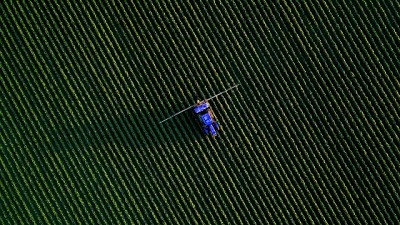 Aspectos relevantes de la Información Productiva en SISA