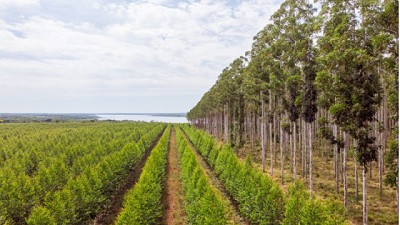 Paraguay en la cima del crecimiento económico de América del Sur