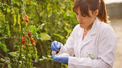 Inteligencia artificial: la gran aliada de la nueva agricultura