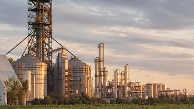 Aprueban comercialización de levaduras genéticamente modificadas (GM) para mejorar la producción de bioetanol