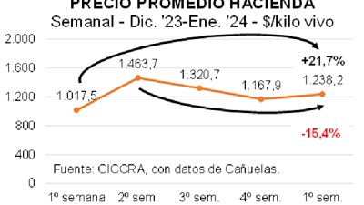 ¿Cómo es el balance de exportaciones y producción de Carne a Diciembre 2023?