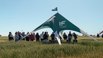 El fraccionamiento de la entrega de nutrientes mejora los potenciales