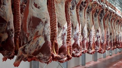 El Consorcio de Exportadores de Carnes Argentinas presentó el Informe de Faena Producción Bovina