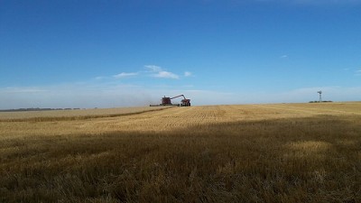 Ley Impositiva Bs.As. 2024: se mantienen las alícuotas aplicables durante 2023