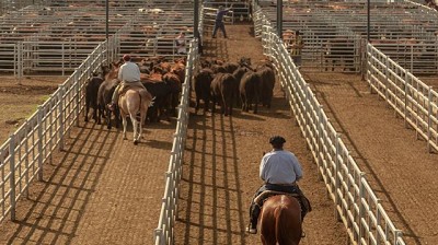 La invernada solo corrigió un 10% sobre los valores de diciembre