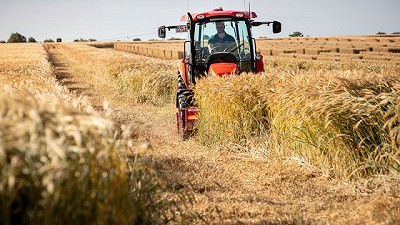 Estrategia multicultivo y nuevas tecnologías como base para una buena cosecha 