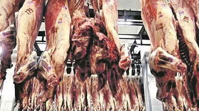 Frigoríficos pueden procesar para Israel