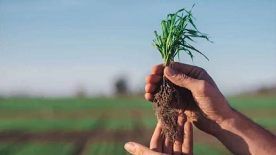 Bioceres presentó su informe global de emisiones con una fuerte reducción de su huella de carbono