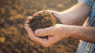 28/01 Día Mundial de la acción frente al calentamiento global