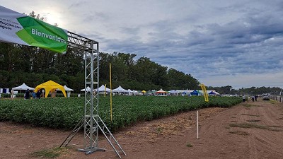 EnBio 2024: ¿Hace falta receta agronómica para recomendar y aplicar biológicos?