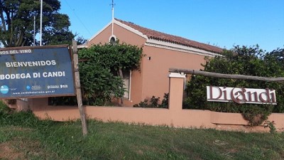 Una casona de siglo y medio, un viñedo, vino artesanal y mucha historia de Colonia Caroya 