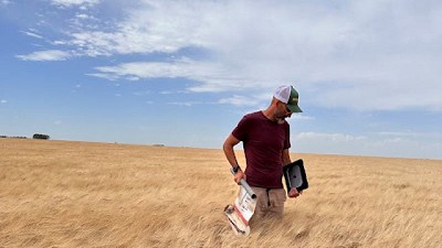 Por qué una variedad todo terreno puede levantar los techos de rendimiento en campos 