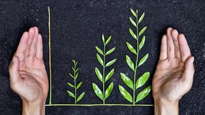 Ley Ómnibus: iniciando el viaje hacia una Estrategia Nacional de Bioeconomía