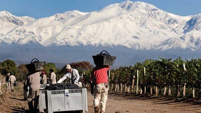 Trabajadores rurales temporarios pueden tener empleo registrado sin perder la ayuda social