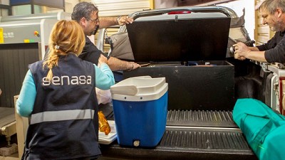 Mosca de los frutos: Cómo contribuir a cuidar las economías regionales al viajar por el país