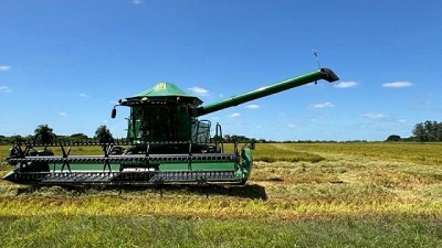 Empezó la cosecha de arroz con optimismo
