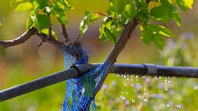 Eficiencia hídrica y tipos de riego