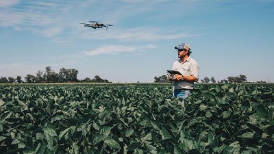 La genética de avanzada en maíz será protagonista en Expoagro 2024