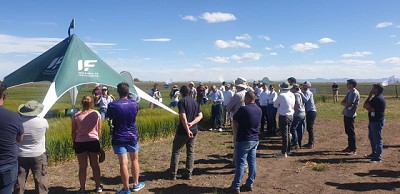 Novedosos Avances en el Desarrollo de Productos Bioestimulantes para la Agricultura