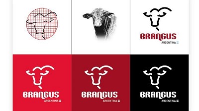 Brangus: Nueva imagen Institucional