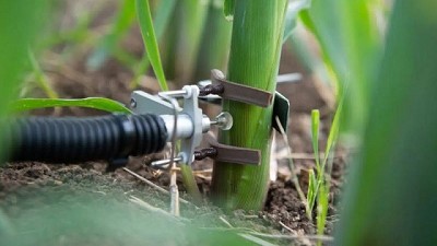 Sensores inteligentes para la optimización del riego