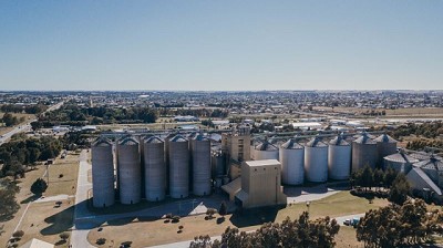 Una de cada cuatro cervezas que elabora Cervecería y Maltería Quilmes en el mundo tiene cebada de la Provincia de Buenos Aires