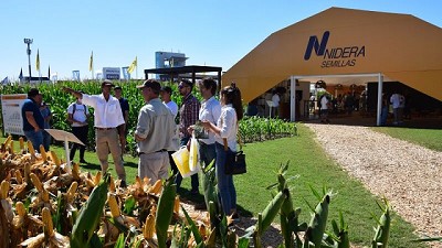 Lanzamientos y manejo: un recorrido por la Experiencia Nidera en Expoagro