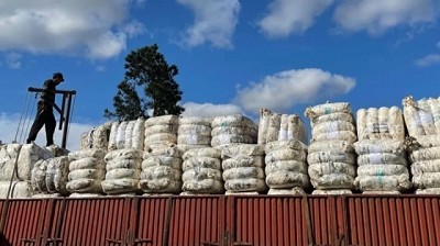 Las exportaciones de lana continúan subiendo