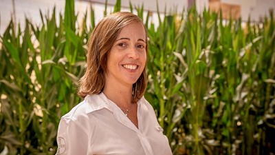 El agro y sus oportunidades en la agenda global, como motor para generar las divisas que necesita el país