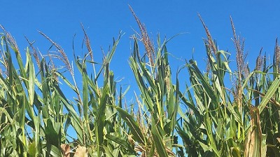 Políticas para facilitar las relaciones comerciales en pos del desarrollo económico