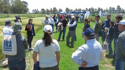 INTA Bordenave: un enclave casi centenario con investigación y desarrollo como moneda corriente