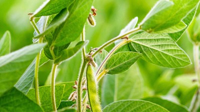 Biome: la nanotecnología llega a los fertilizantes microgranulados