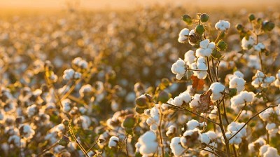 Del campo a la mochila del cole