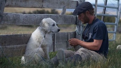 Apuestan a encontrar un equilibrio entre ganaderos y depredadores