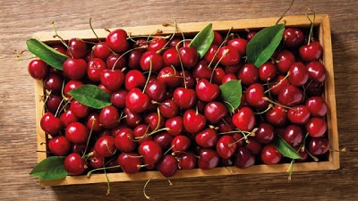 Cerezas argentinas finalizan temporada récord