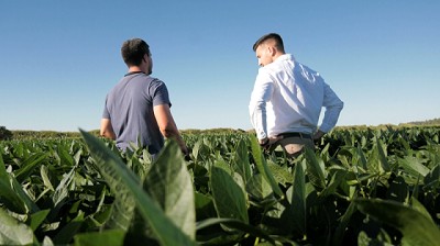 Cómo lograr una implantación uniforme en suelos sódicos con un bioactivador