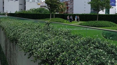 Techos verdes: una alternativa ante las lluvias urbanas en exceso