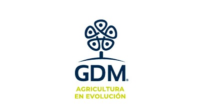GDM adquiere el negocio de maíz y sorgo de KWS en Sudamérica