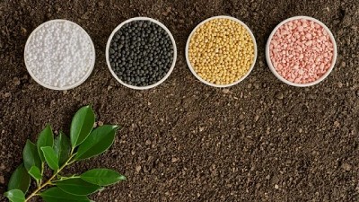 Relación C/N (carbono/nitrógeno) en el suelo