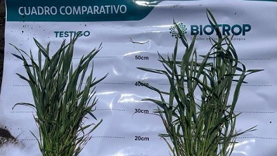 El mercado de biológicos presenta un crecimiento exponencial