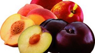 Carozos argentinos registran récord en primer trimestre del año