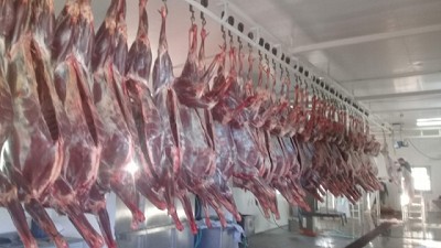 Gobernador Gregores anuncia la primera venta de carne de guanaco del 2024