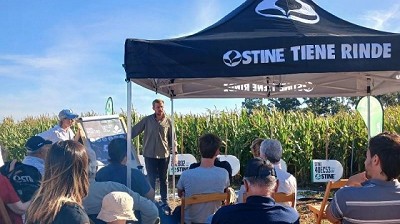 Los cortos, los petisos y las bestias se lucieron en el sudeste bonaerense