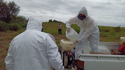 Trabajo articulado de lucha contra la langosta en las provincias de Catamarca y La Rioja