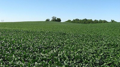 Conservación de suelos: Revelan beneficios para el agro y la sociedad