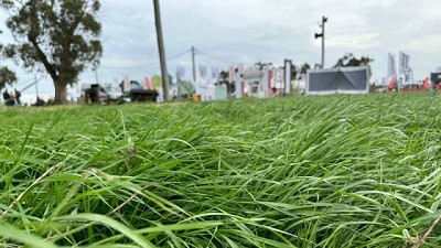 Un año con el afán de recomponer praderas en todo el país