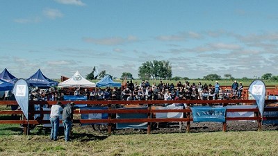Angus Litoral pone a prueba la mejor genética de la raza en su tradicional Prueba Pastoril