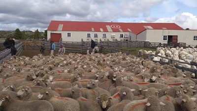 Tierra del Fuego: Simplificación de trámites por internet para productores